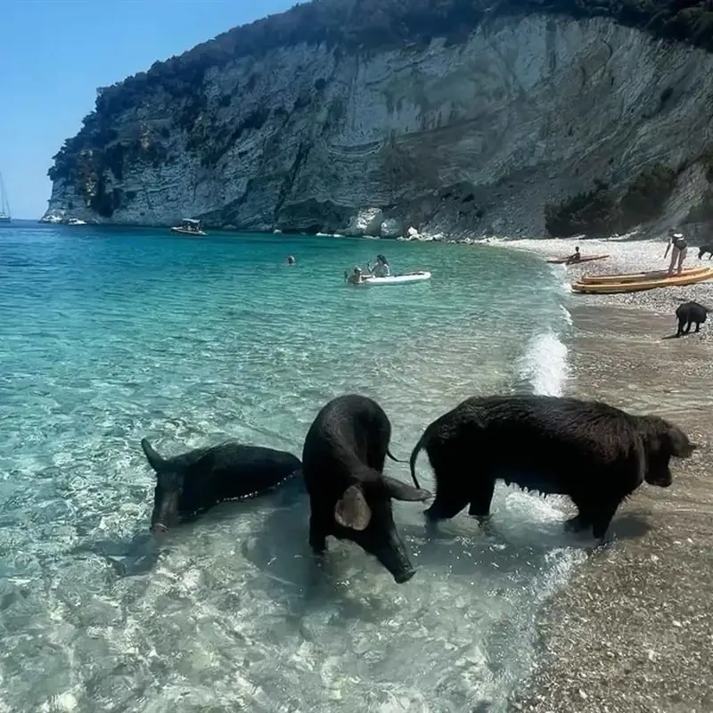 Άτοκος