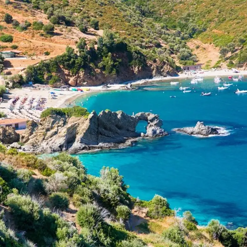 Κάλαμος